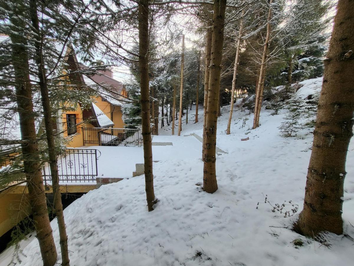 Pod Laskiem Krosnica  Exteriör bild